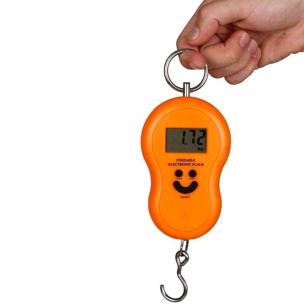 portable electronic scale