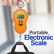 portable electronic scale